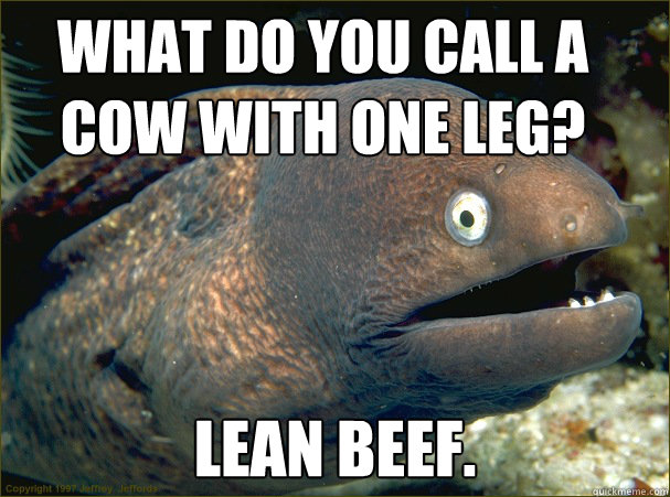 What do you call a cow with one leg? Lean Beef.  Bad Joke Eel