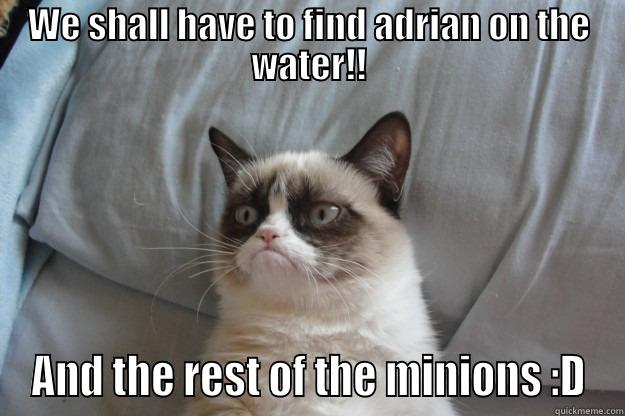 poo pooo - WE SHALL HAVE TO FIND ADRIAN ON THE WATER!! AND THE REST OF THE MINIONS :D Grumpy Cat