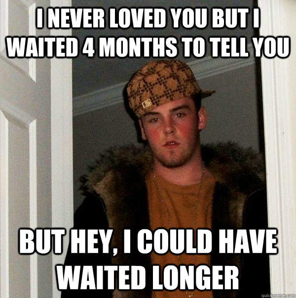 i never loved you but i waited 4 months to tell you but hey, i could have waited longer  Scumbag Steve