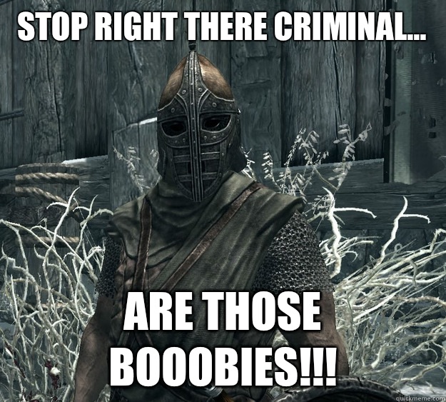 Stop right there criminal... Are those BOOOBIES!!!  Skyrim Guard