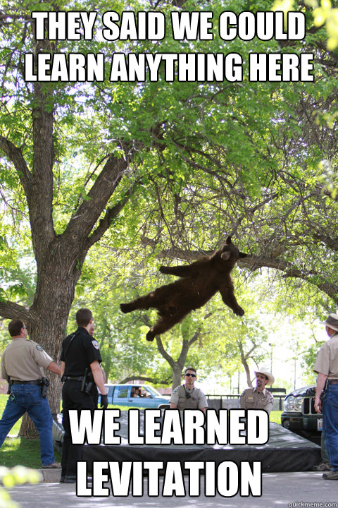 They said we could learn anything here We learned levitation  Boulder Bear