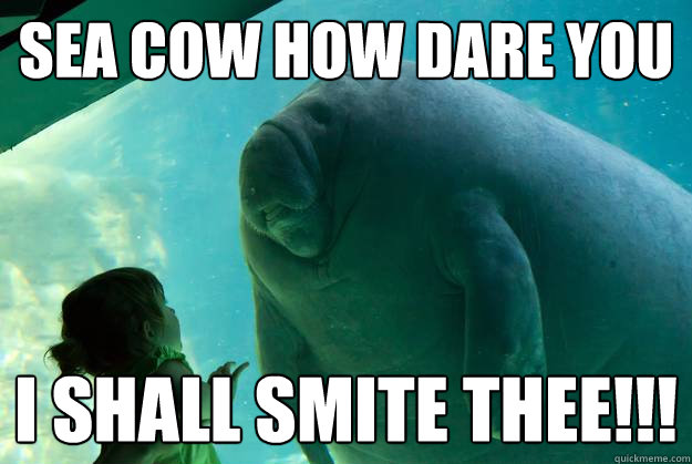 sea cow how dare you i shall smite thee!!! - sea cow how dare you i shall smite thee!!!  Overlord Manatee