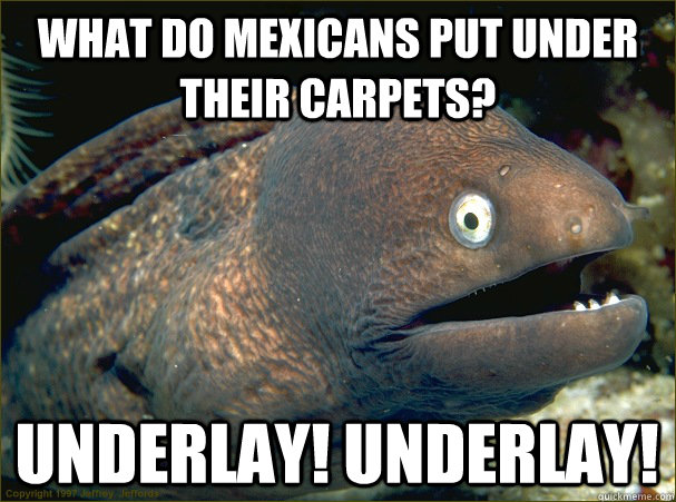 What do Mexicans put under their carpets? UNDERLAY! UNDERLAY!  Bad Joke Eel