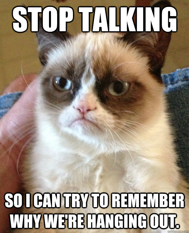 Stop talking so i can try to remember why we're hanging out.   Grumpy Cat