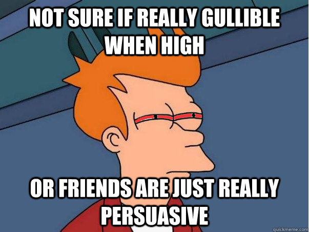 Not sure if really gullible when high Or friends are just really persuasive  