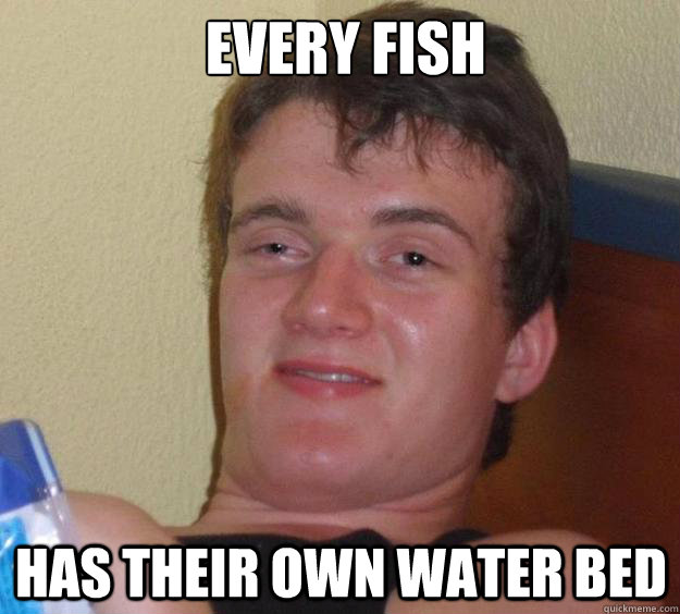  Every fish Has their own water bed -  Every fish Has their own water bed  10 Guy