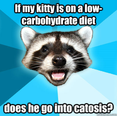 If my kitty is on a low- carbohydrate diet does he go into catosis? - If my kitty is on a low- carbohydrate diet does he go into catosis?  Lame Pun Coon