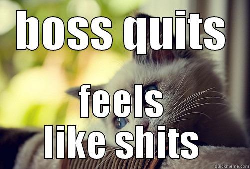 BOSS QUITS FEELS LIKE SHITS First World Problems Cat