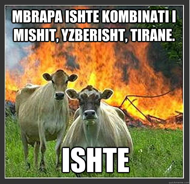 mbrapa ishte kombinati i mishit, yzberisht, tirane. ishte  Evil cows