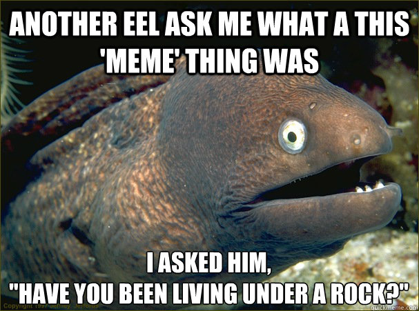 Another eel ask me what a this 'meme' thing was I asked him, 
