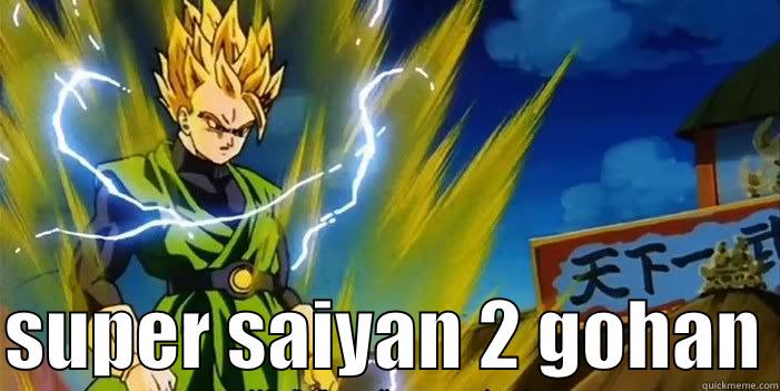   SUPER SAIYAN 2 GOHAN Misc