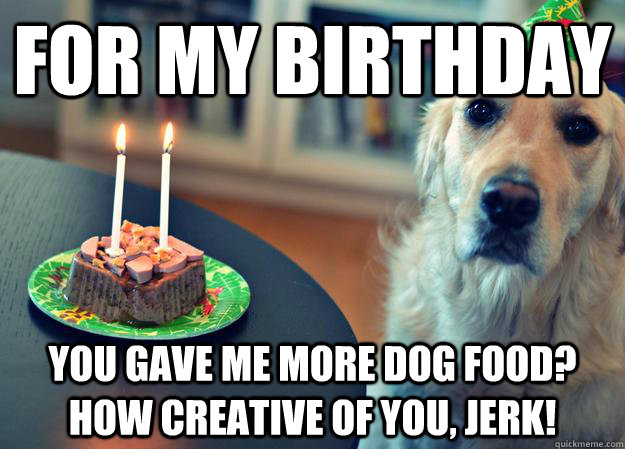 For my birthday You gave me more dog food? How creative of you, jerk!  Sad Birthday Dog