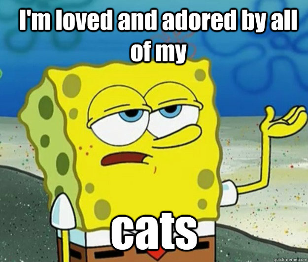 I'm loved and adored by all of my  cats - I'm loved and adored by all of my  cats  How tough am I