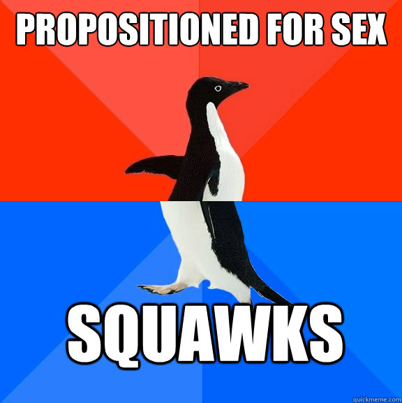 propositioned for sex squawks - propositioned for sex squawks  Socially Awesome Awkward Penguin