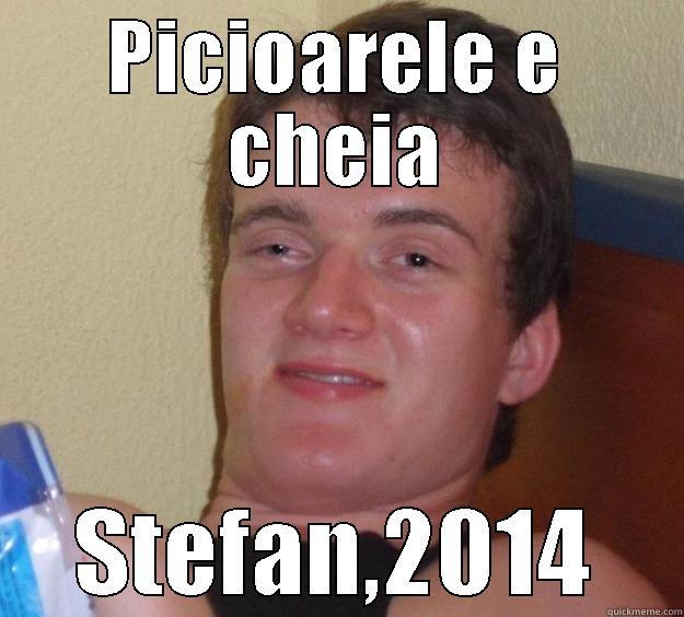 PICIOARELE E CHEIA STEFAN,2014 10 Guy