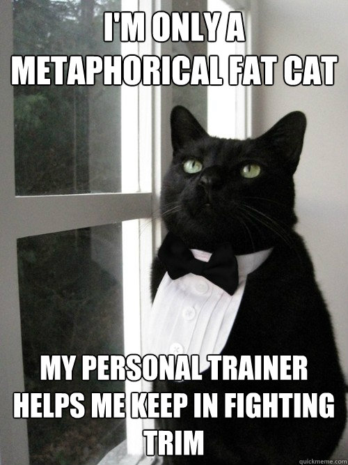 I'm only a metaphorical Fat Cat My Personal Trainer Helps me keep in Fighting Trim  One Percent Cat