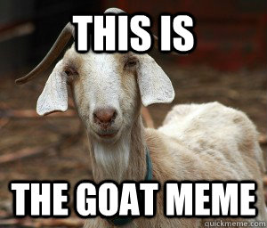 This is The Goat Meme - This is The Goat Meme  the Goat meme