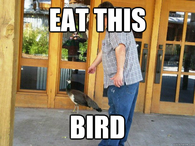 eat this  bird - eat this  bird  Mark