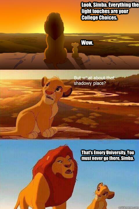 Look, Simba. Everything the light touches are your College Choices. Wow. That's Emory University. You must never go there, Simba.   Lion King Shadowy Place