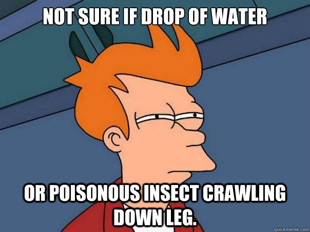 Not sure if drop of water or poisonous insect crawling down leg.  Futurama Fry