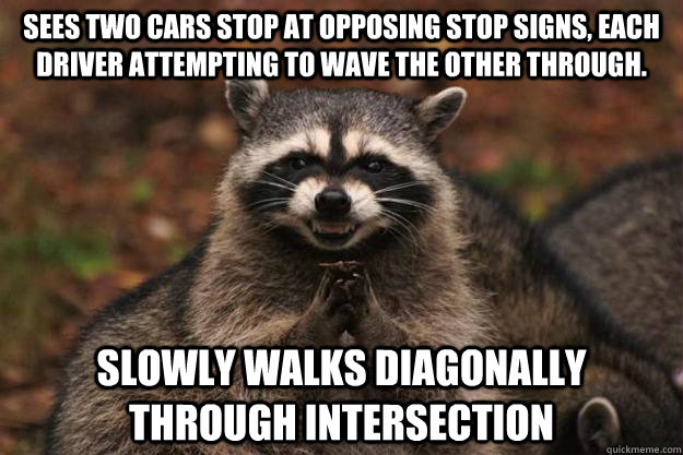 Sees two cars stop at opposing stop signs, each driver attempting to wave the other through. Slowly walks diagonally through intersection   Evil Plotting Raccoon