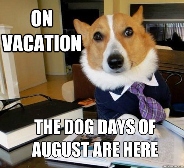 on vacation the dog days of august are here - on vacation the dog days of august are here  Lawyer Dog