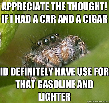 APPRECIATE THE THOUGHT!  IF I HAD A CAR AND A CIGAR ID DEFINITELY HAVE USE FOR THAT GASOLINE AND LIGHTER  Misunderstood Spider