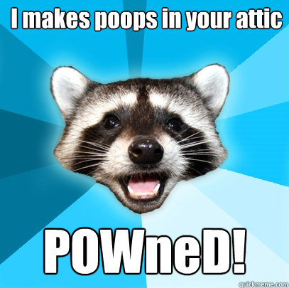 I makes poops in your attic POWneD!  Lame Pun Coon