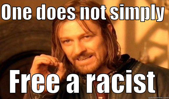 ONE DOES NOT SIMPLY  FREE A RACIST One Does Not Simply