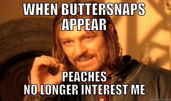 WHEN BUTTERSNAPS APPEAR PEACHES NO LONGER INTEREST ME Boromir