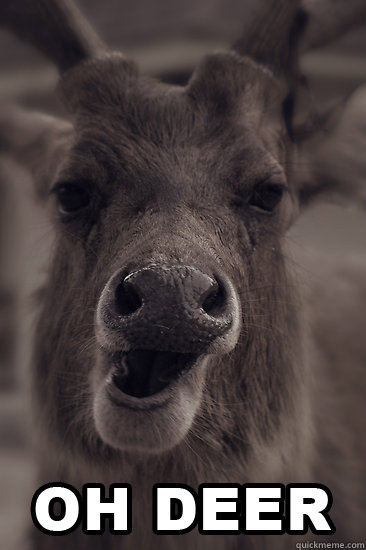   -    Oh deer