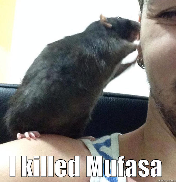  I KILLED MUFASA Misc