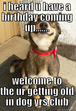 I HEARD U HAVE A BIRTHDAY COMING UP....... WELCOME TO THE UR GETTING OLD IN DOG YRS CLUB Good Dog Greg