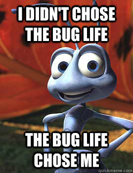 I didn't chose the bug life the bug life chose me  Thug Life