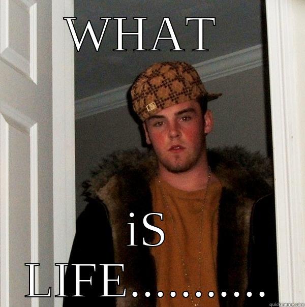 WHAT  IS LIFE........... Scumbag Steve