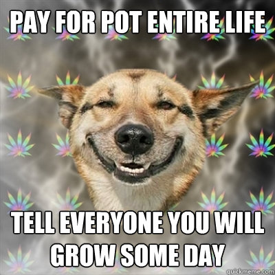 Pay for pot entire life tell everyone you will grow some day  Stoner Dog