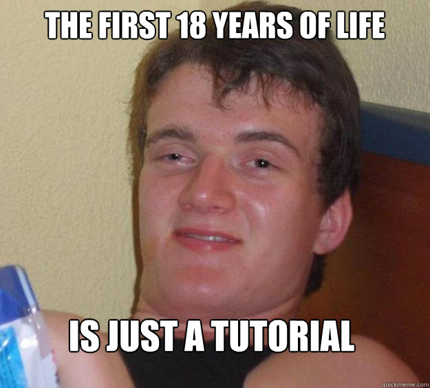 the first 18 years of life is just a tutorial  10 Guy