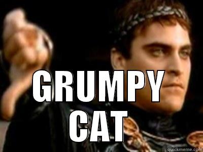 GRUMPY CAT -  GRUMPY CAT Downvoting Roman