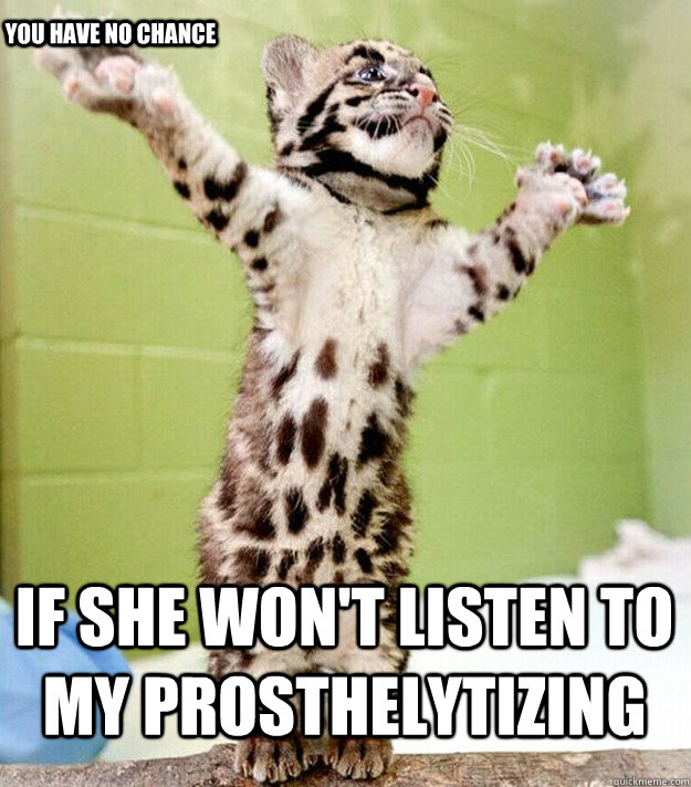 If she won't listen to my prosthelytizing you have no chance - If she won't listen to my prosthelytizing you have no chance  PastorCat