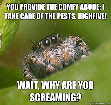 You provide the comfy abode; I take care of the pests. Highfive! Wait, why are you screaming?  Misunderstood Spider