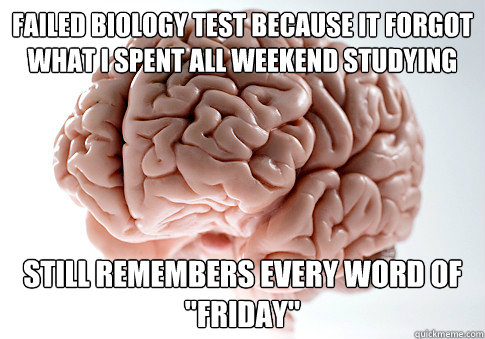 failed biology test because it forgot what I spent all weekend studying still remembers every word of 