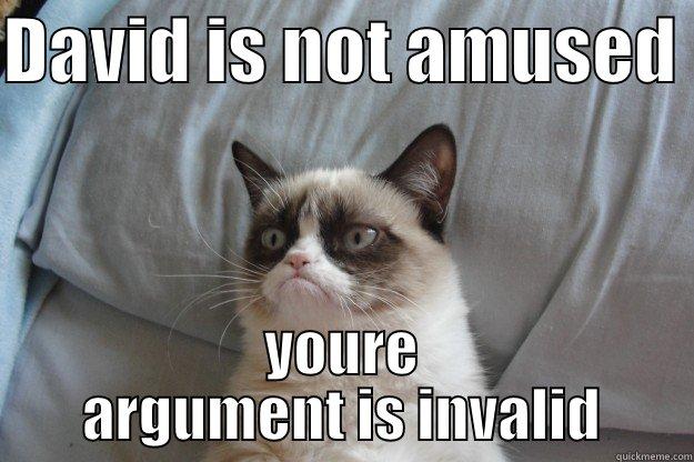 DAVID IS NOT AMUSED  YOURE ARGUMENT IS INVALID Grumpy Cat