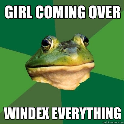 GIRL COMING OVER WINDEX EVERYTHING - GIRL COMING OVER WINDEX EVERYTHING  Foul Bachelor Frog