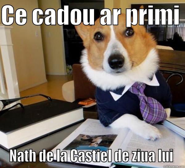 CE CADOU AR PRIMI  NATH DE LA CASTIEL DE ZIUA LUI Lawyer Dog