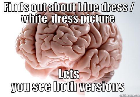 FINDS OUT ABOUT BLUE DRESS / WHITE  DRESS PICTURE  LETS YOU SEE BOTH VERSIONS  Scumbag Brain