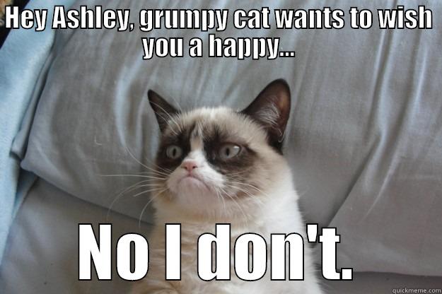 HEY ASHLEY, GRUMPY CAT WANTS TO WISH YOU A HAPPY... NO I DON'T. Grumpy Cat