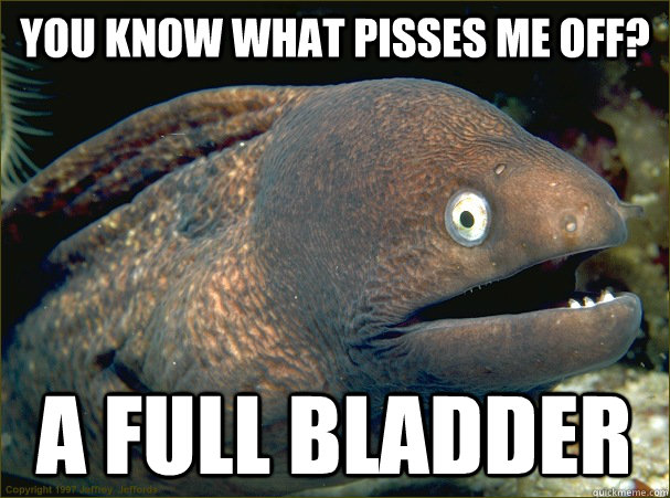 You know what pisses me off? a full bladder  Bad Joke Eel