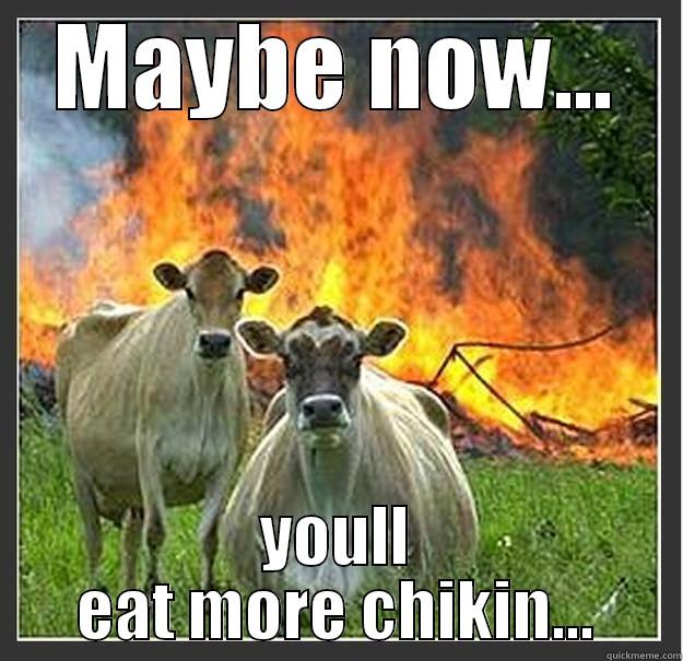 MAYBE NOW... YOULL EAT MORE CHIKIN... Evil cows