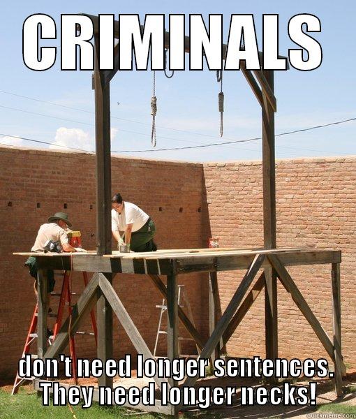 CRIMINALS DON'T NEED LONGER SENTENCES.  THEY NEED LONGER NECKS! Misc