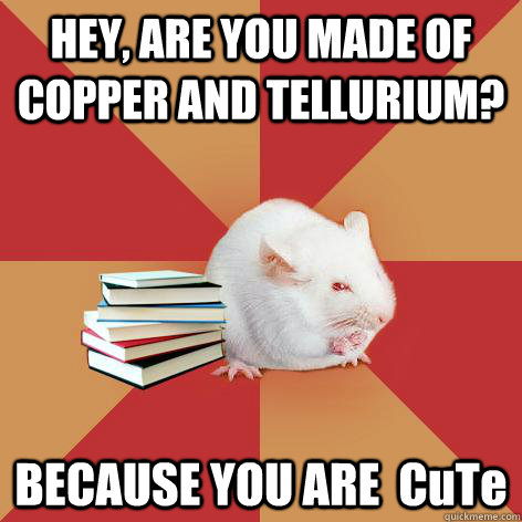 HEY, ARE YOU MADE OF COPPER AND TELLURIUM? BECAUSE YOU ARE  CuTe  Science Major Mouse